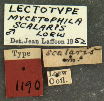 Media type: image;   Entomology 1190 Aspect: labels